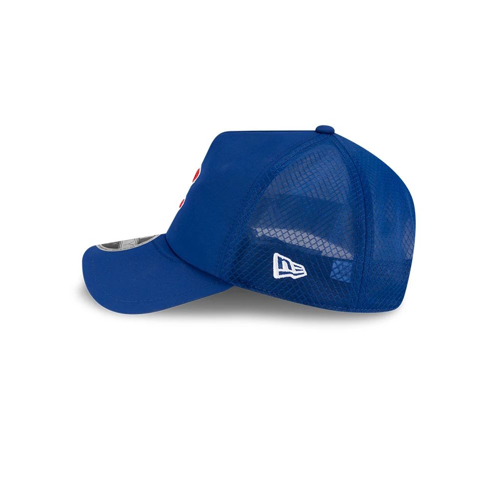 Chicago Cubs 2026 BP 9FORTY Adjustable Cap by New Era Caps NEW ERA CAP COMPANY