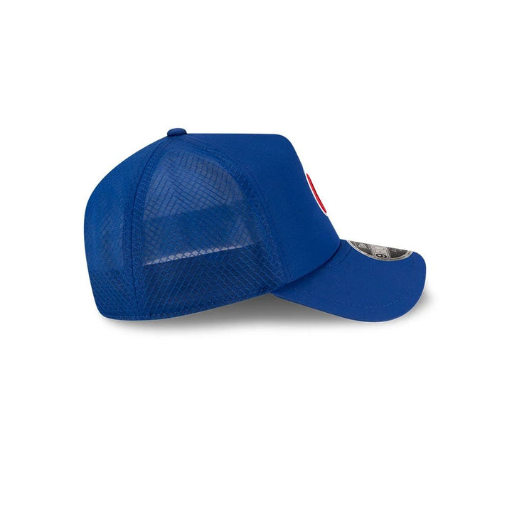 Chicago Cubs 2026 BP 9FORTY Adjustable Cap by New Era Caps NEW ERA CAP COMPANY