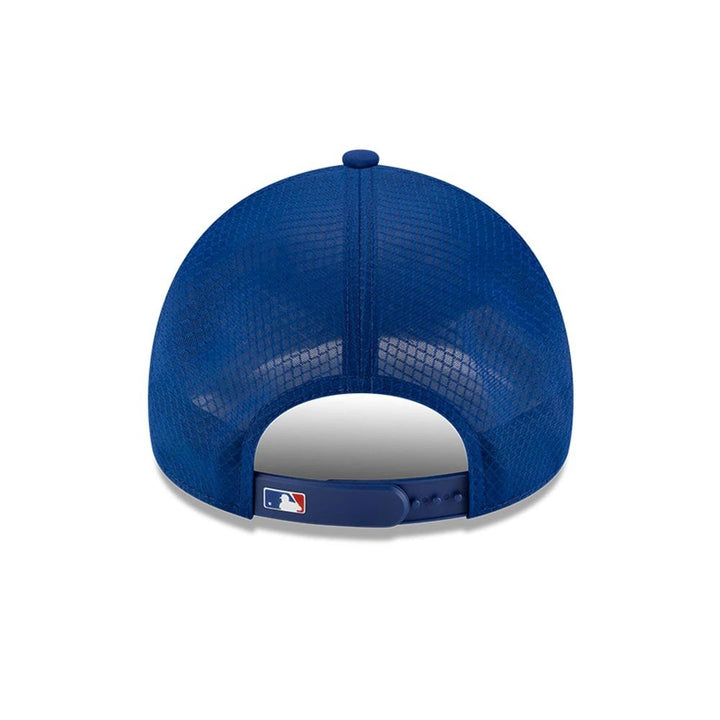 Chicago Cubs 2026 BP 9FORTY Adjustable Cap by New Era Caps NEW ERA CAP COMPANY