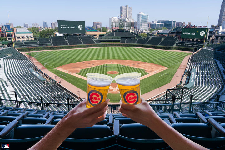 Cheers to the Wrigley Field™, Chicago Photography Gray Malin