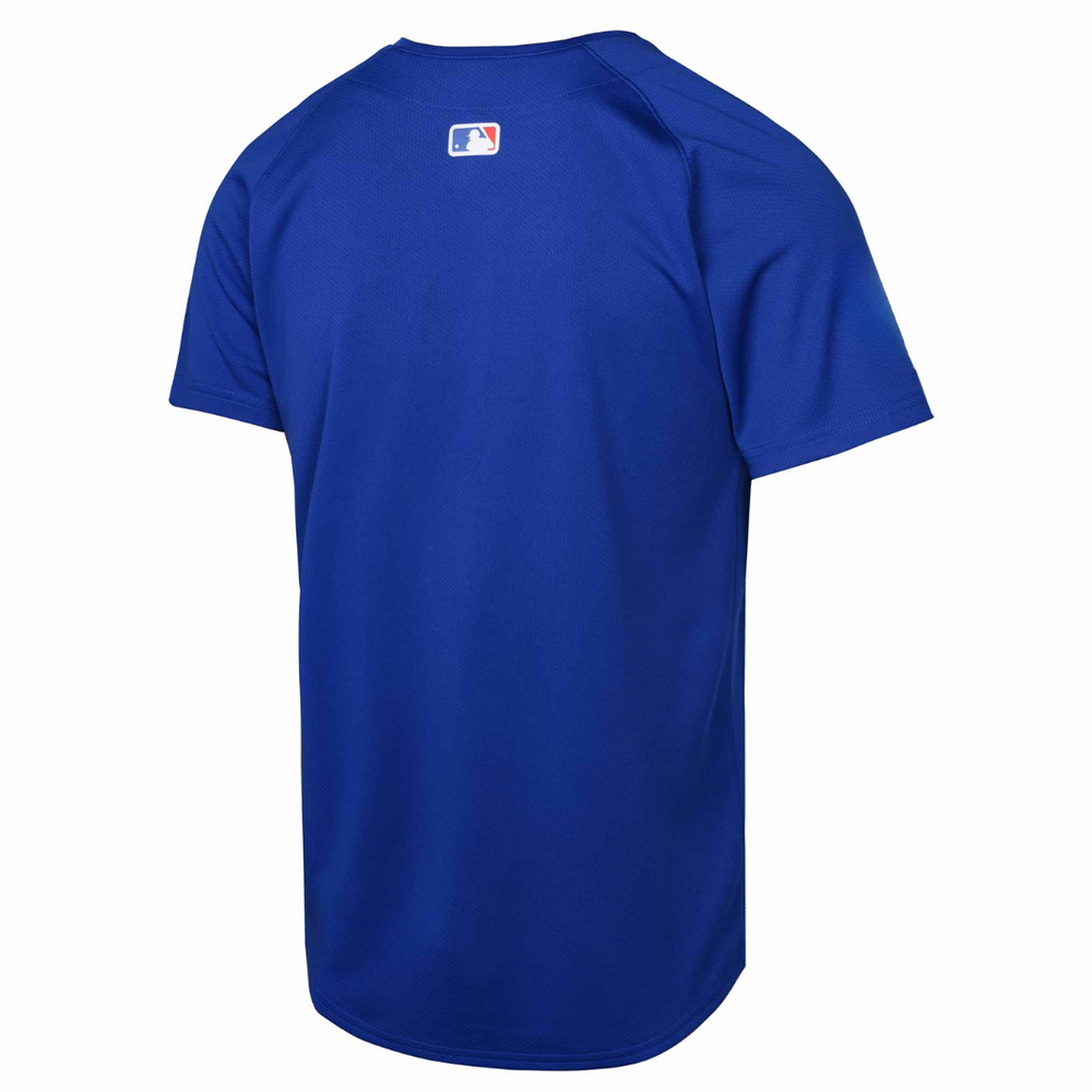 Chicago Cubs Youth Royal Blue Alternate Limited Jersey by Nike Jerseys Nike