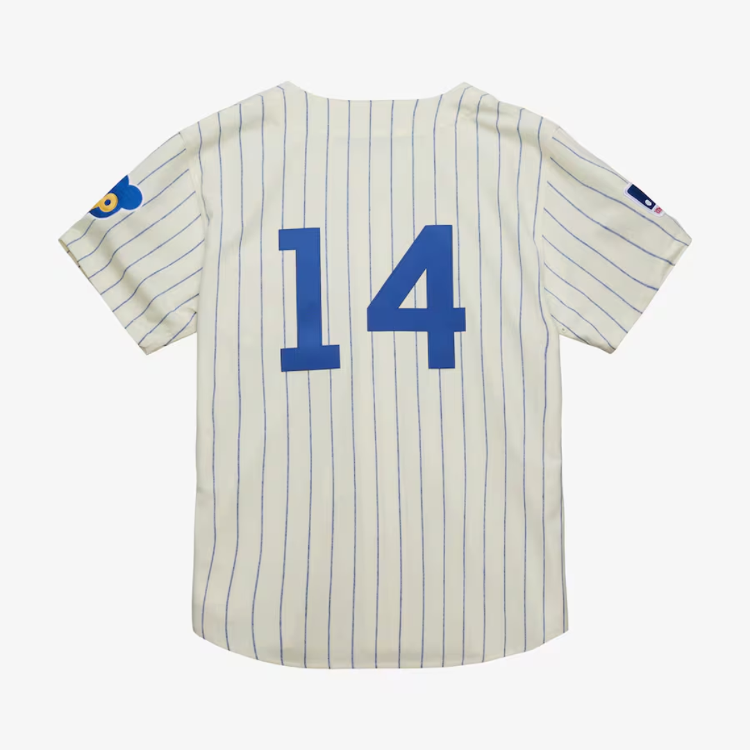 Chicago Cubs Ernie Banks 1969 Authentic Jersey by Mitchell & Ness Jerseys MITCHELL & NESS