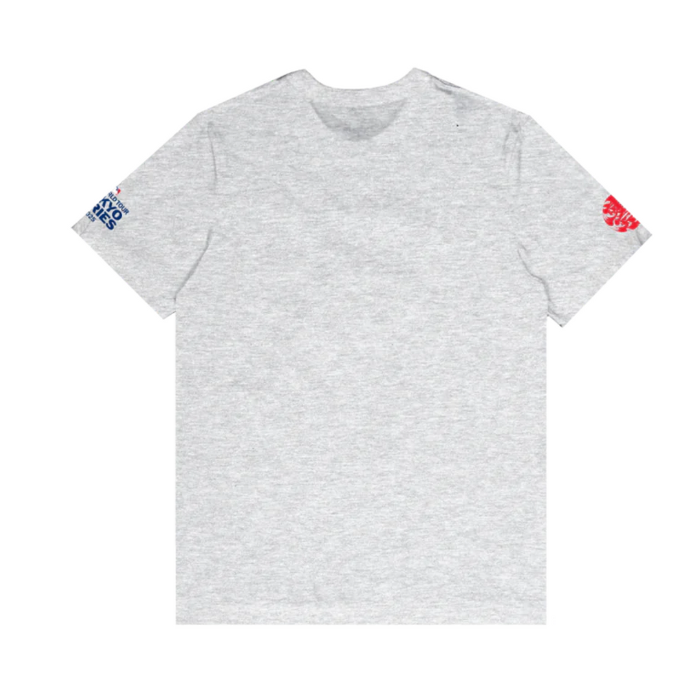 Chicago Cubs x Murakami Team Grey T-Shirt by Nike Short Sleeve Tees Nike