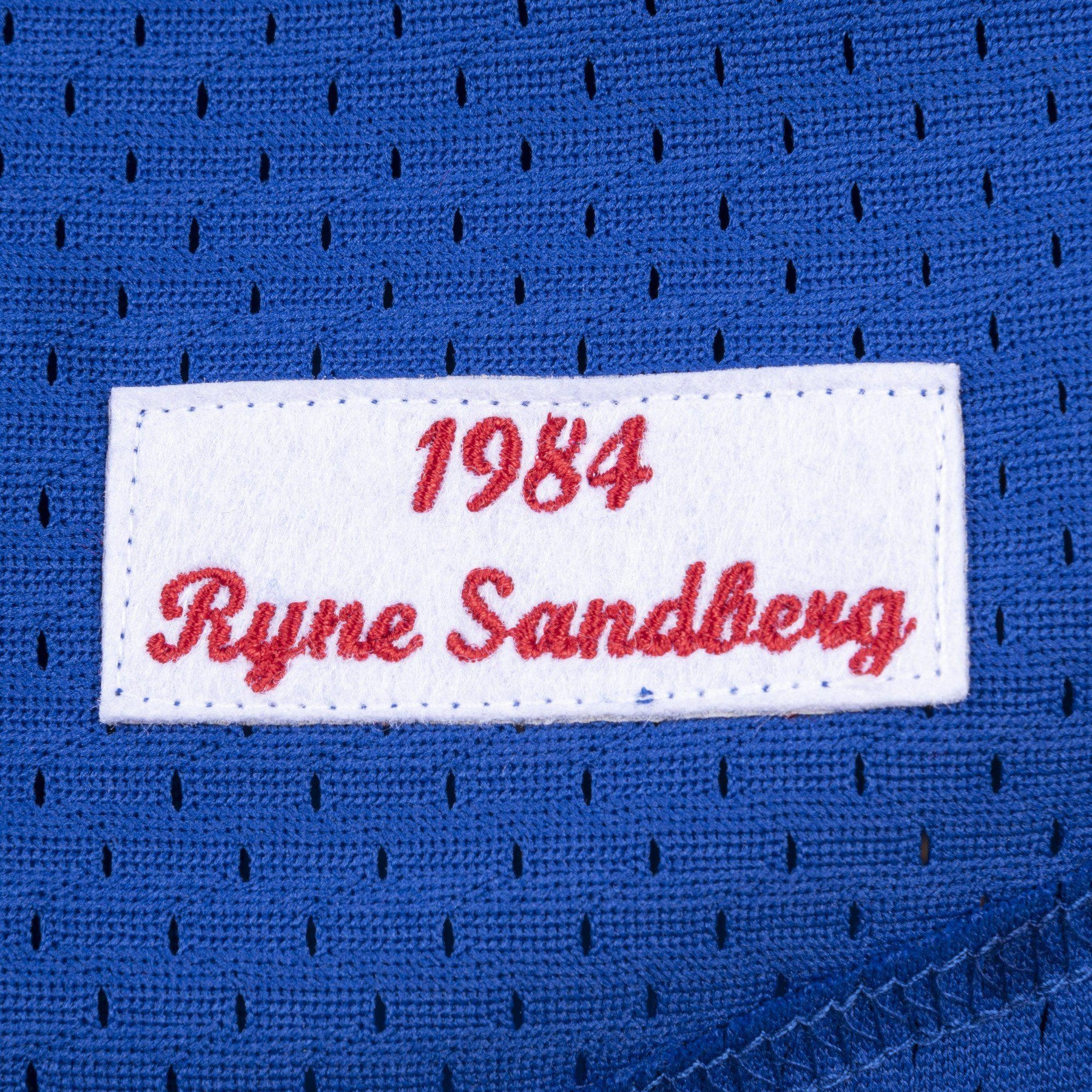 Mitchell & Ness Youth Ryne Sandberg Chicago Cubs BP Button Down Jersey